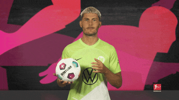Vfl Wolfsburg Ball GIF by Bundesliga