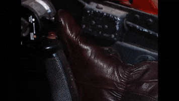 Black Sheep GIF