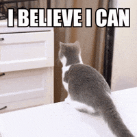200w.gif