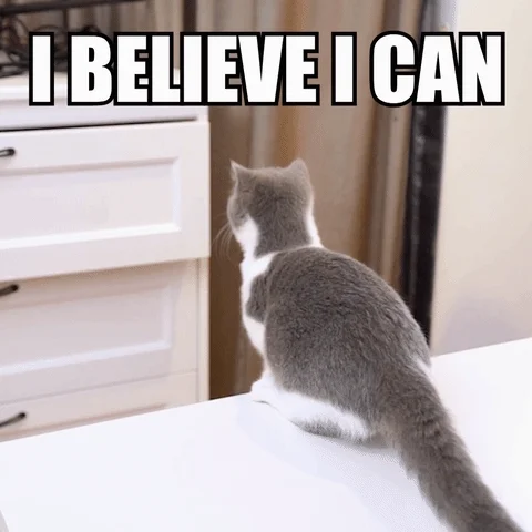 Cat Jump GIF by Wengie
