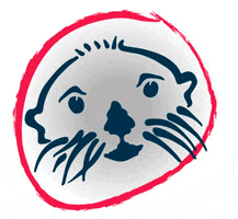Seaotter GIF by Sea Otter Europe