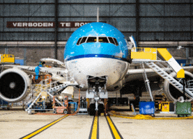 Royal Dutch Airlines Hello GIF by KLM