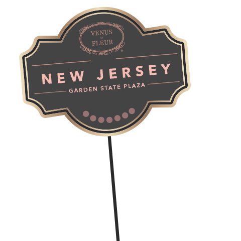 Vef Sticker by Venus ET Fleur