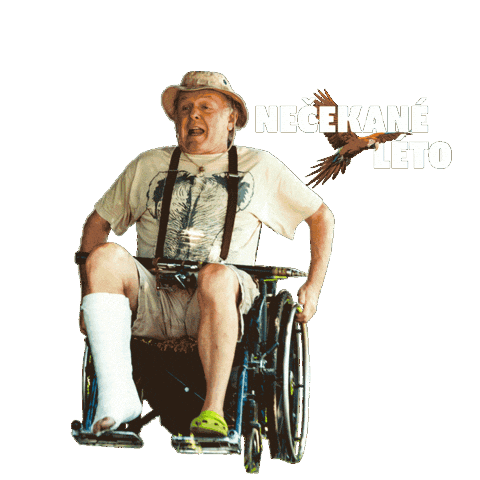 Barbora Poláková Nečekané Léto Sticker by falconfilmovenovinky