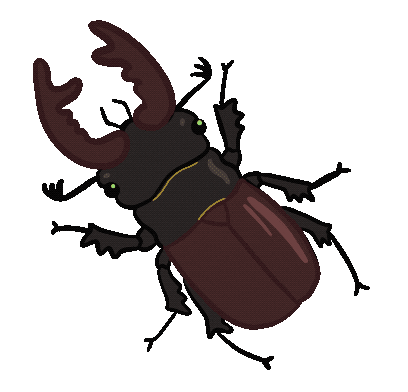 Source: LenaKeohavong