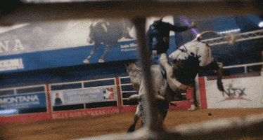 Country Music Cowboy GIF by Sub Pop Records
