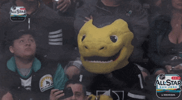 Ice Hockey Thumbs Up GIF by NHL