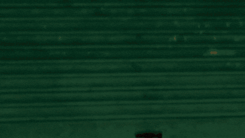 Kannada Movie Kfi GIF