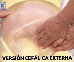GIF by Matronastur