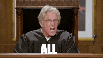 All Rise Court GIF by Gary Busey: Pet Judge