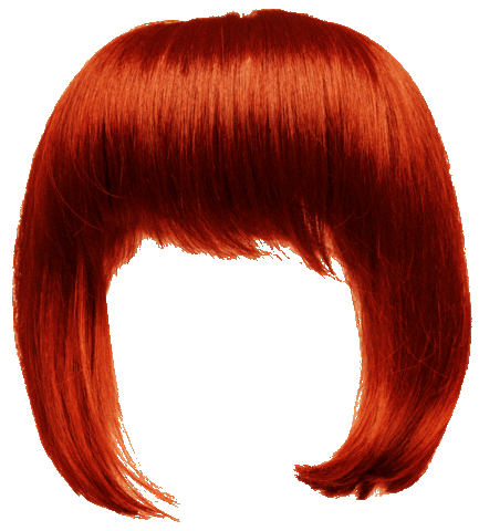 Festival Wig Sticker by Wotif