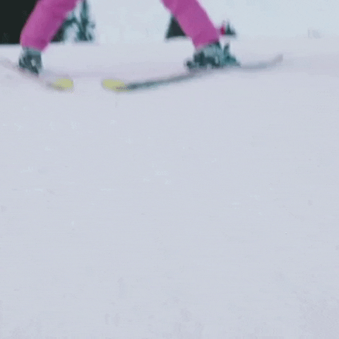 Renee Zellweger Ski GIF by Working Title - Find & Share on GIPHY