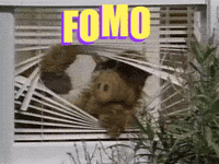 Fomu GIFs - Get the best GIF on GIPHY