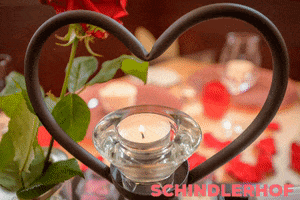 Schindlerhof nurnberg candlelight romantisch unvergesslich GIF