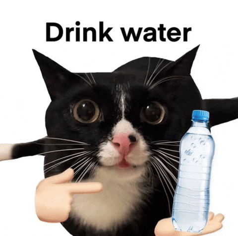Drink Water Cat GIF