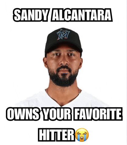 Miami Marlins GIF