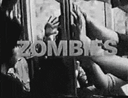 horror zombie zombies