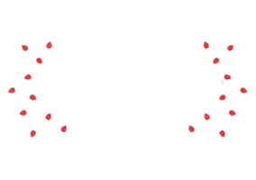 Christmas Bozic Sticker by care4climate