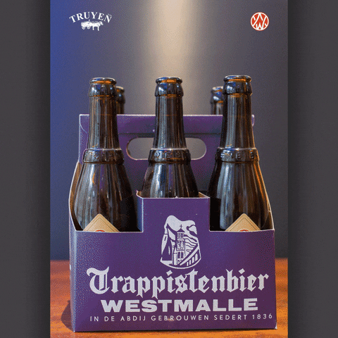 Bier Trappist GIF by Truyen