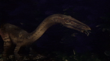 Dinosaur GIF