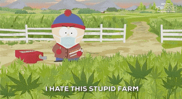 Burning Stan Marsh GIF by South Park