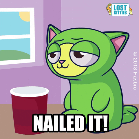 chunks cat memes GIF by Hasbro