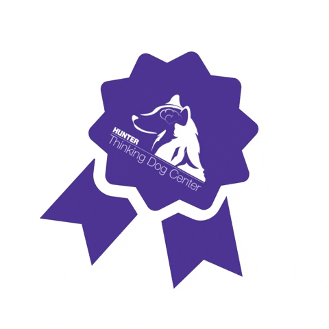 Thinking Dog Center at Hunter College GIF