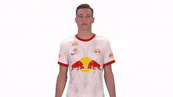 Luka Sucic GIF by FC Red Bull Salzburg