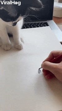 Small-paper GIFs - Get the best GIF on GIPHY