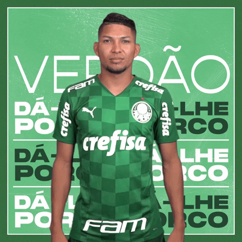 Palmeiras Mundial GIF - Palmeiras Mundial Futebol - Discover & Share GIFs