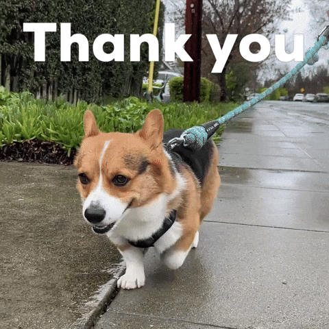 Dog Thank You GIF