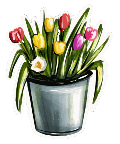 Flower Tulip Sticker