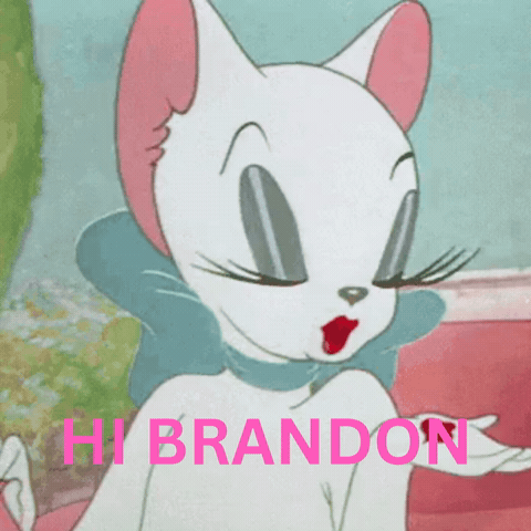 Brandon GIF