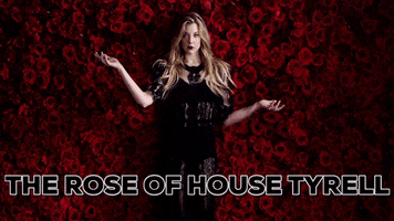 mph season 6 game of thrones got finale GIF