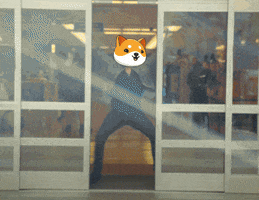 Dance Celebrate GIF by Baby Doge Coin