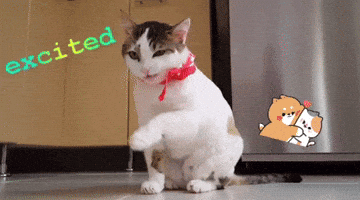 swee.lol GIF