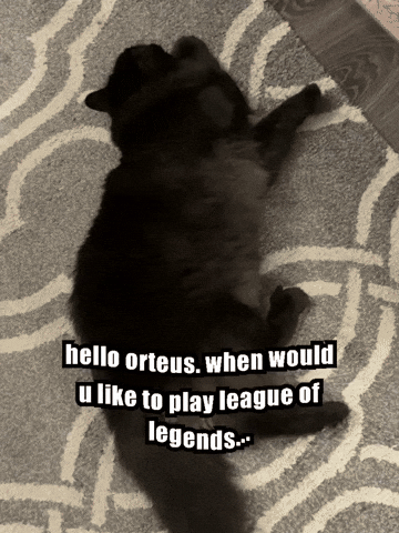 Hello Orteus When Would U Like To Play League Of Legends GIF