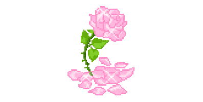 pink rose petals STICKER