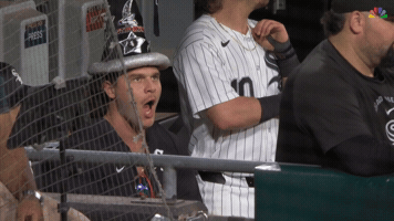 White Sox Sport GIF by MLB