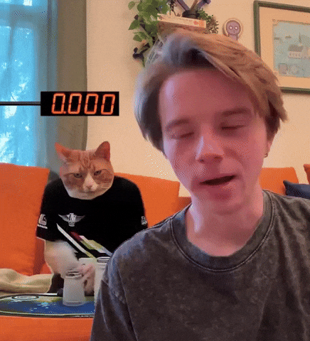 Cat What GIF