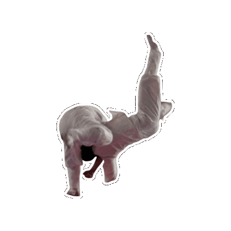 Workout Fighting Sticker by vank