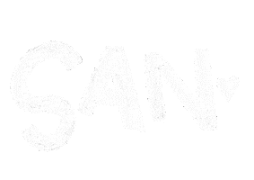 Choi San Ateez Sticker by lgcapucci