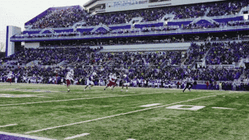 Football Touchdown GIF by JMUDukes