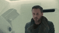 Gone Tomorrow Gifs Get The Best Gif On Giphy Gone Tomorrow Gifs Get The Best Gif On Giphy