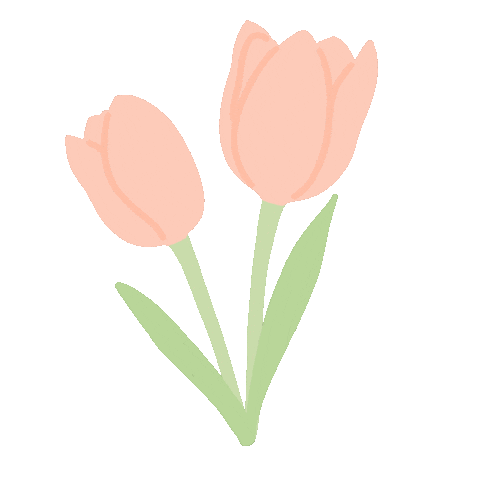 Spring Tulips Sticker