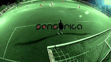 Montreal Sensorica GIF