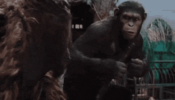 Collaborate Planet Of The Apes GIF