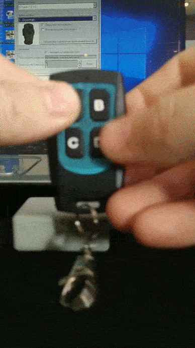 Animated GIF