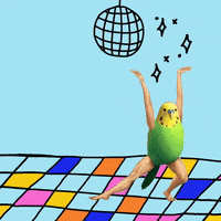Excited Dance Party GIF by molly
