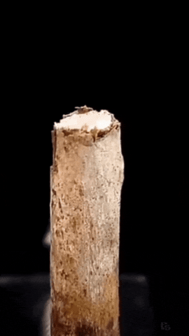 Freaky GIF